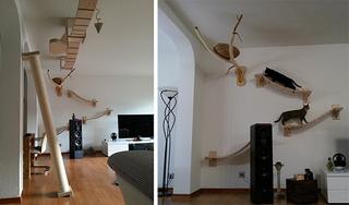 Illustration for article titled This wall furniture is the coolest thing your cat will see all day